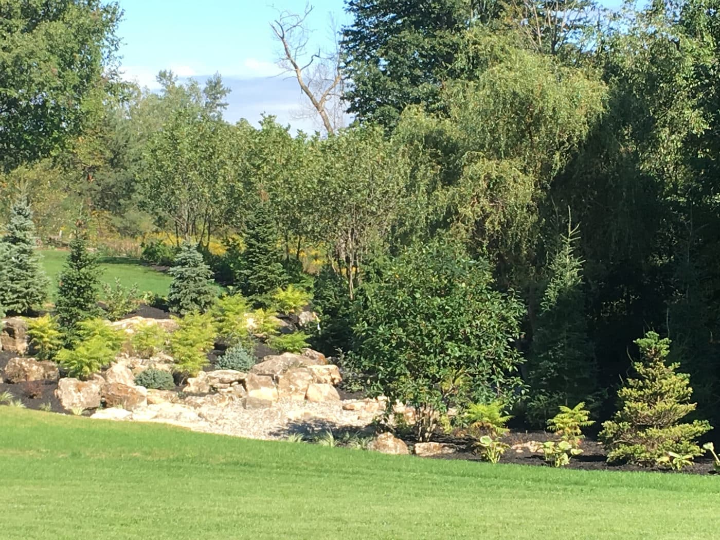 FOOD FOR THOUGHT What is fertilizer? — photograph by Stellar Landscapes
