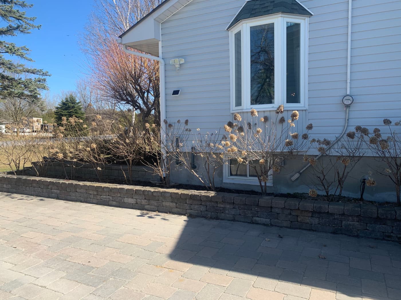 SPRING PRUNING — photograph by Stellar Landscapes
