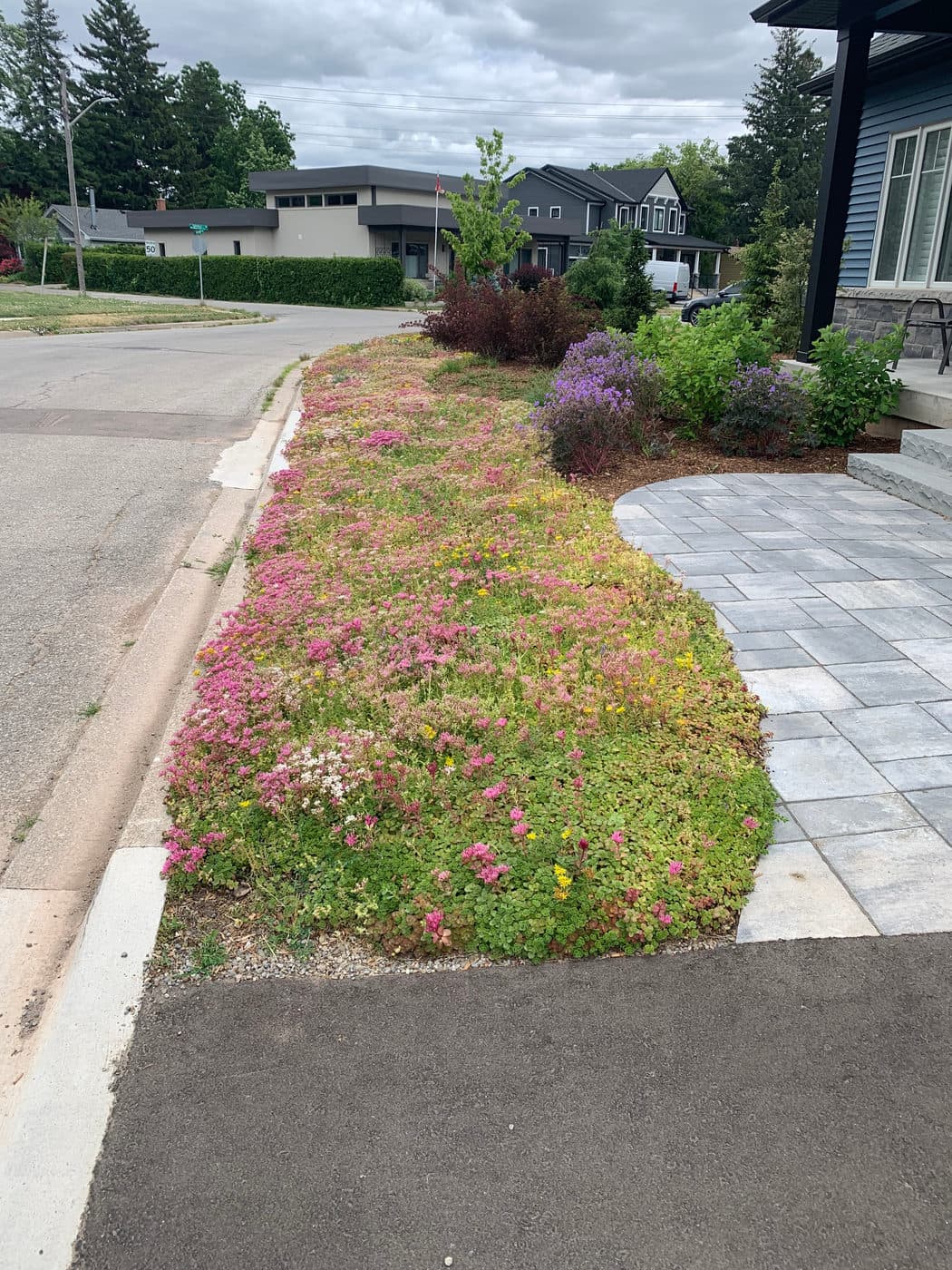 Sustainable Landscapes — photograph by Stellar Landscapes