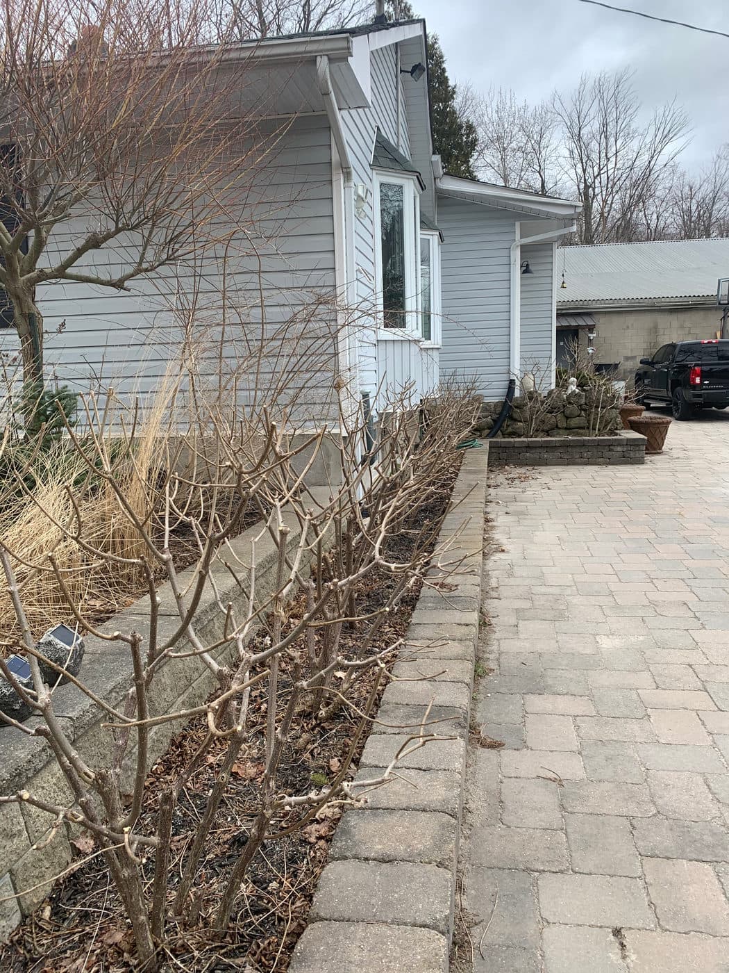 SPRING PRUNING — photograph by Stellar Landscapes