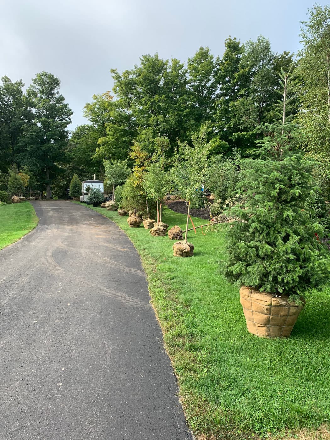 FOOD FOR THOUGHT What is fertilizer? — photograph by Stellar Landscapes