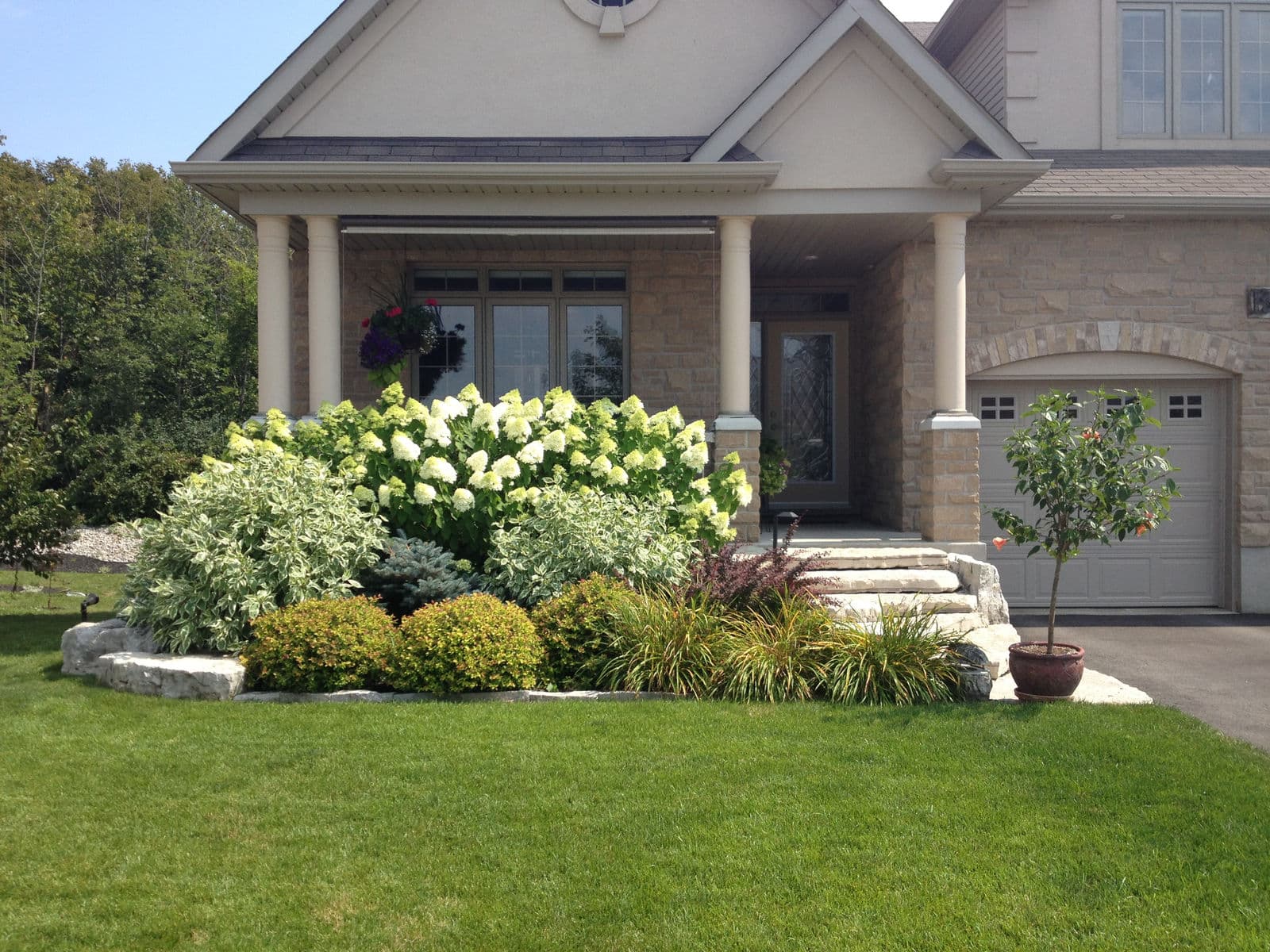 Hydrangea Hideaway