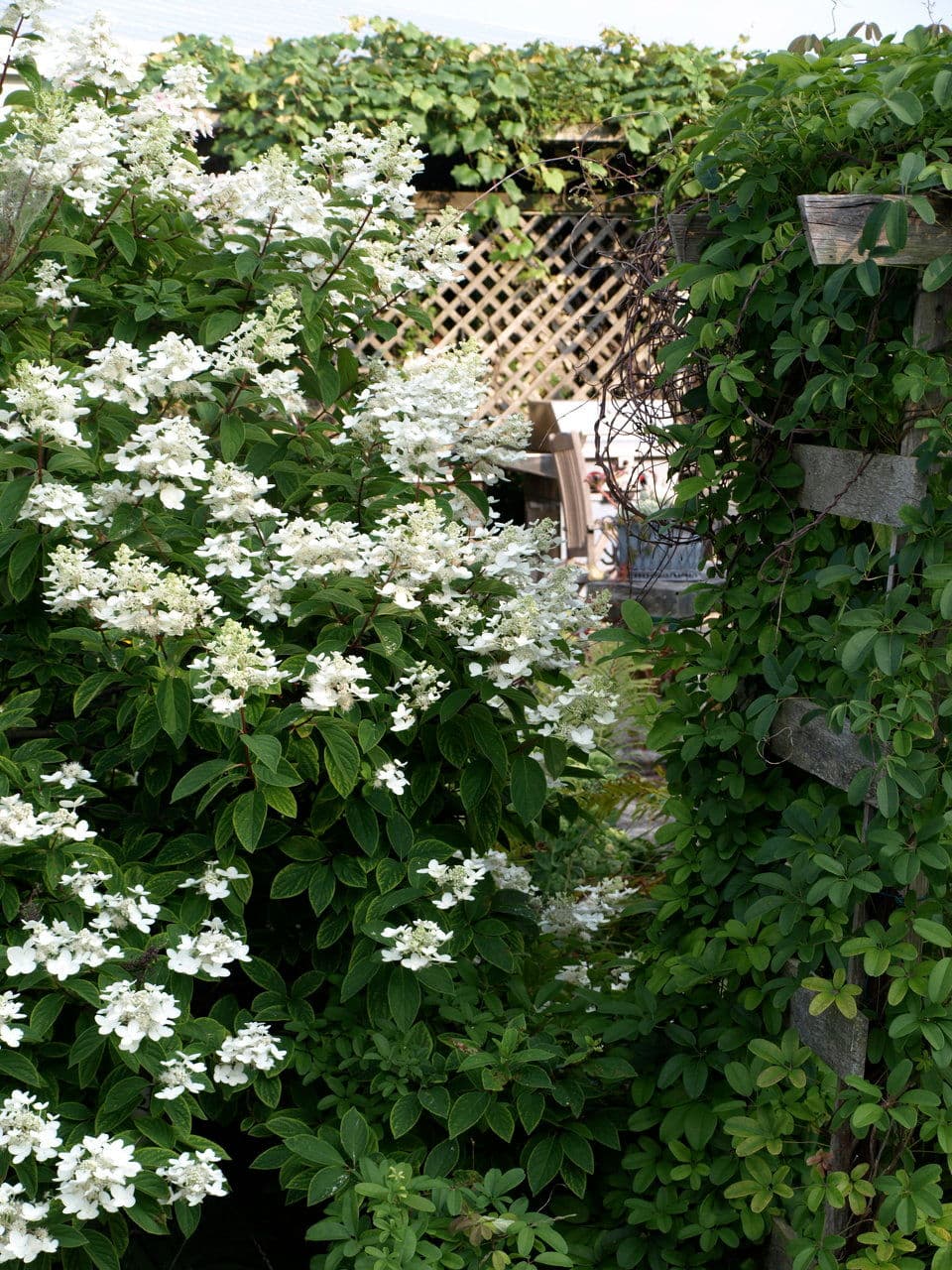 Gardens — Stellar Landscapes