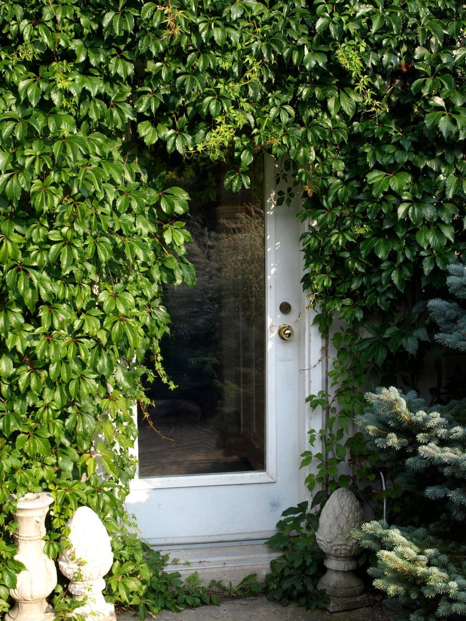 Gardens — Stellar Landscapes
