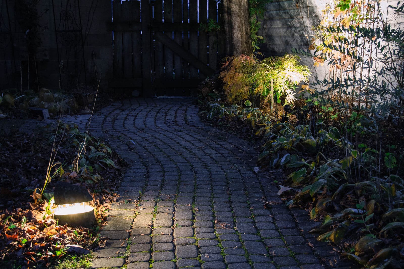 Landscape Lighting — Stellar Landscapes