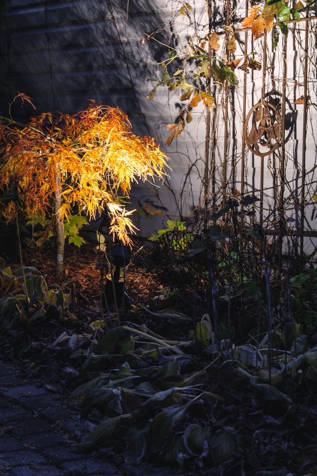 Landscape Lighting — Stellar Landscapes