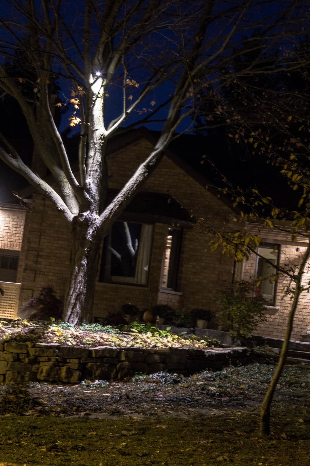 Landscape Lighting — Stellar Landscapes