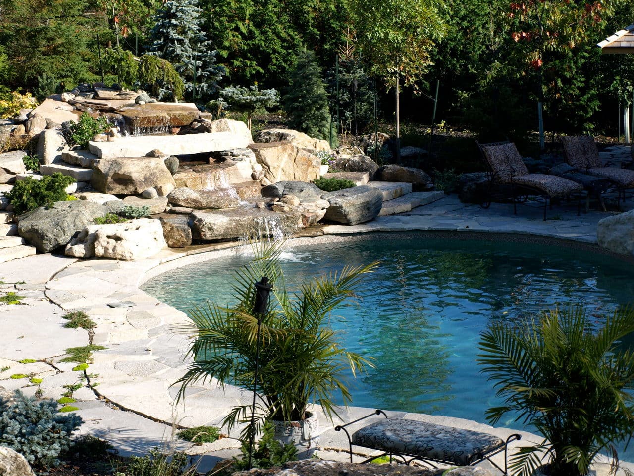 Pool Paradise