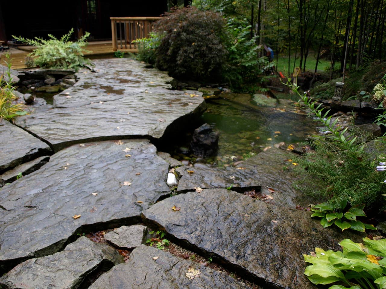 Bridge over Water