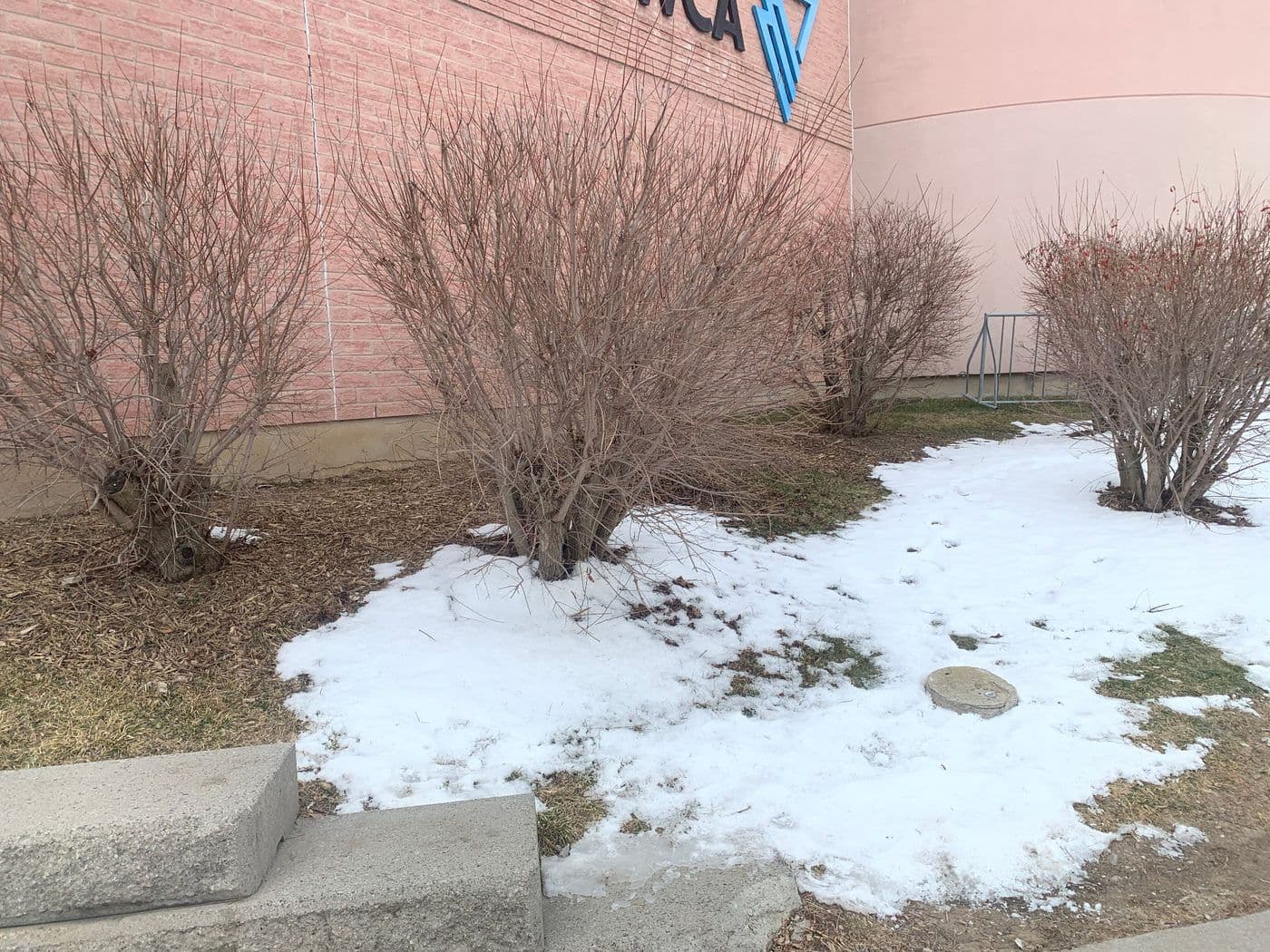 PRUNING PROTOCOL — photograph by Stellar Landscapes