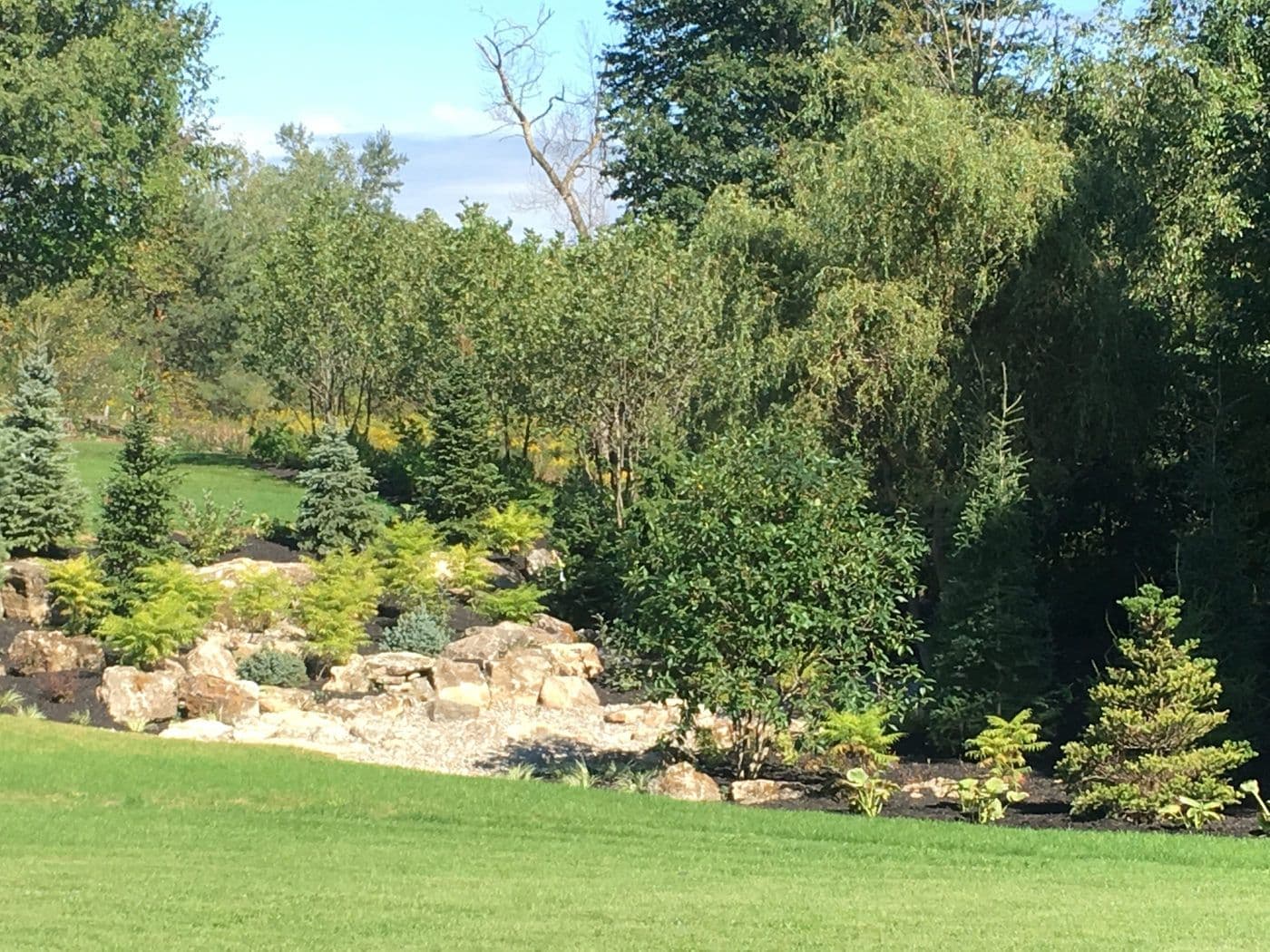FOOD FOR THOUGHT What is fertilizer? — photograph by Stellar Landscapes