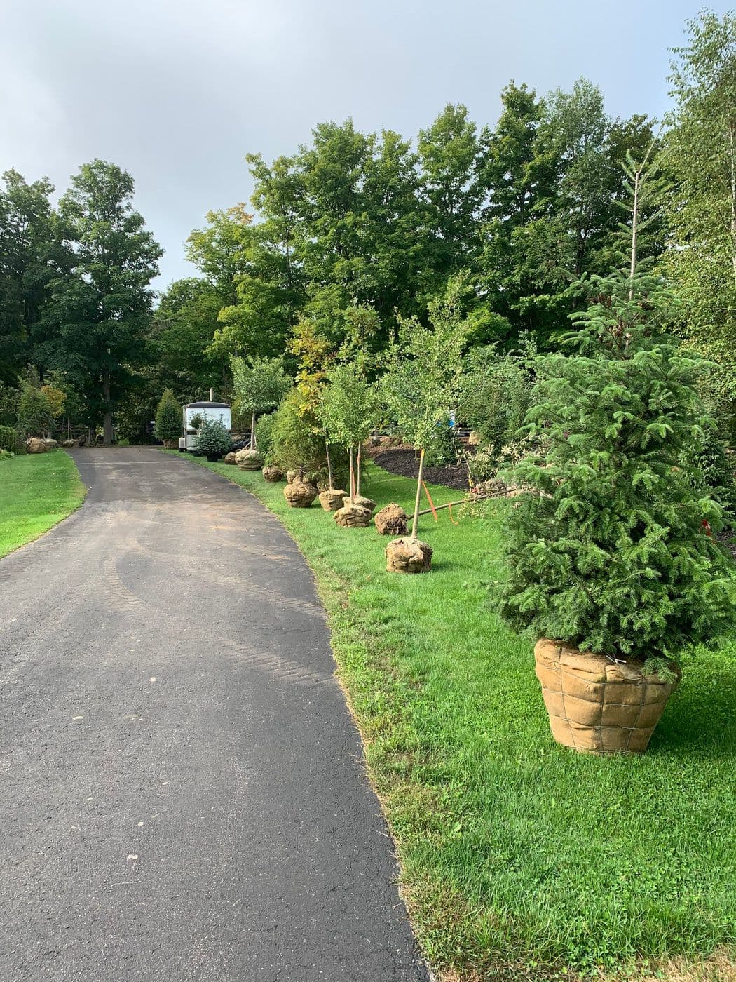 FOOD FOR THOUGHT What is fertilizer? — photograph by Stellar Landscapes